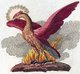 Germany: A phoenix as depicted in a book of mythological creatures by F.J. Bertuch (1747-1822)